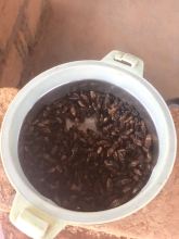 Tuswa! Aka fried termites. At first I thought I was living a nightmare when I found them crawling over every surface of my house. Then I realized how delicious they were and can't wait for them to come back. Favorite Zambian food by far!
